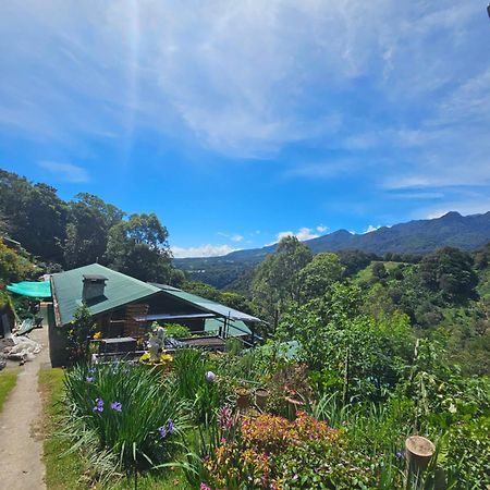Eco Horqueta Bed and Breakfast Boquete Eksteriør billede