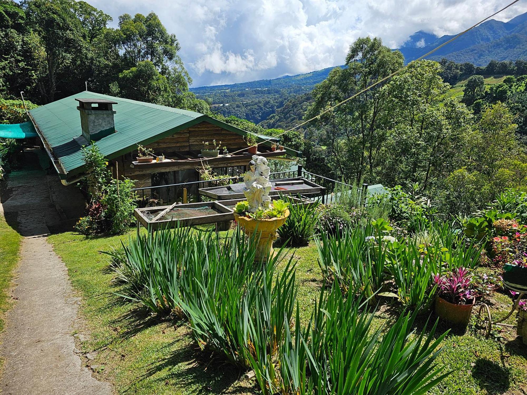 Eco Horqueta Bed and Breakfast Boquete Eksteriør billede