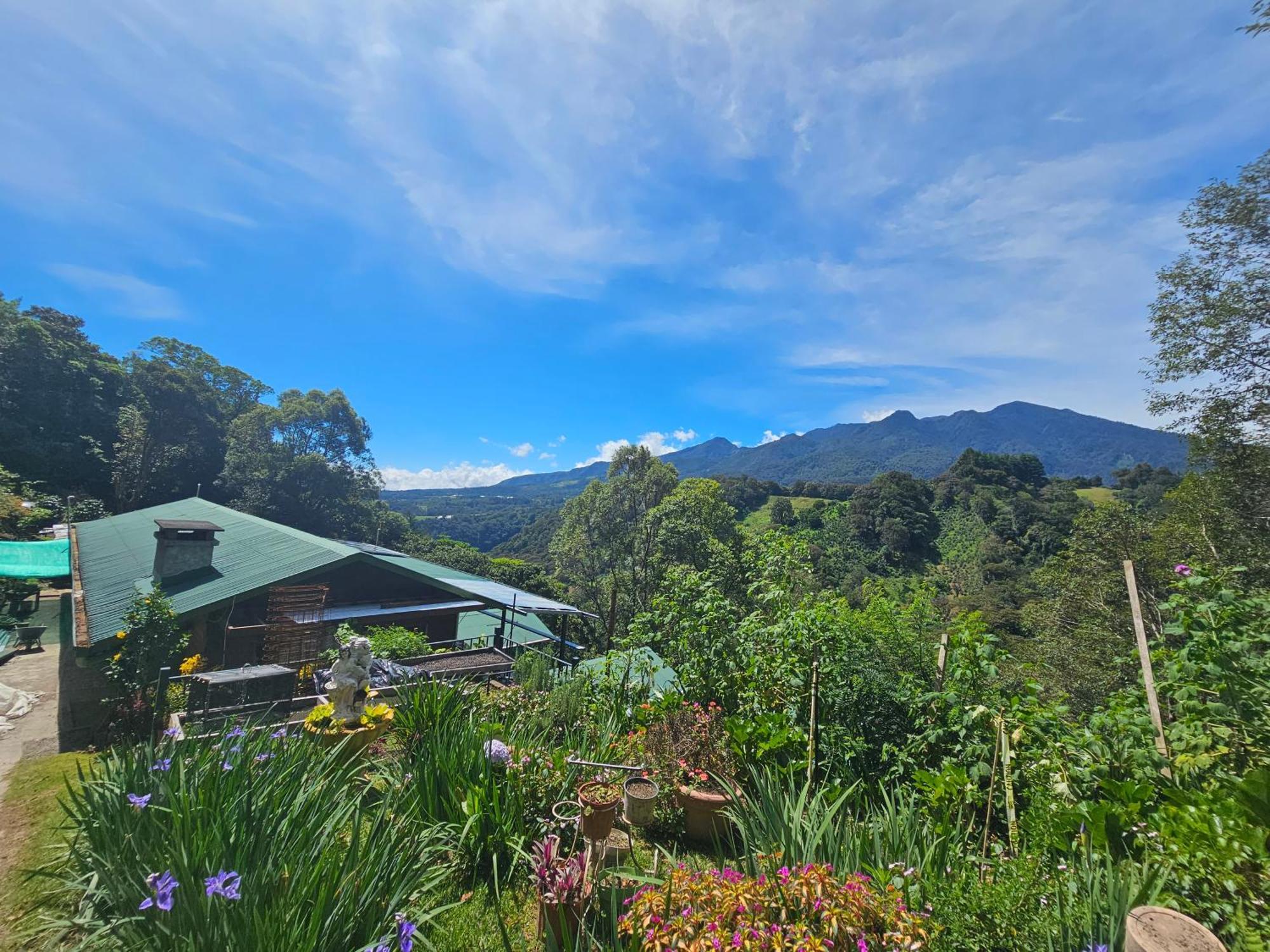 Eco Horqueta Bed and Breakfast Boquete Eksteriør billede
