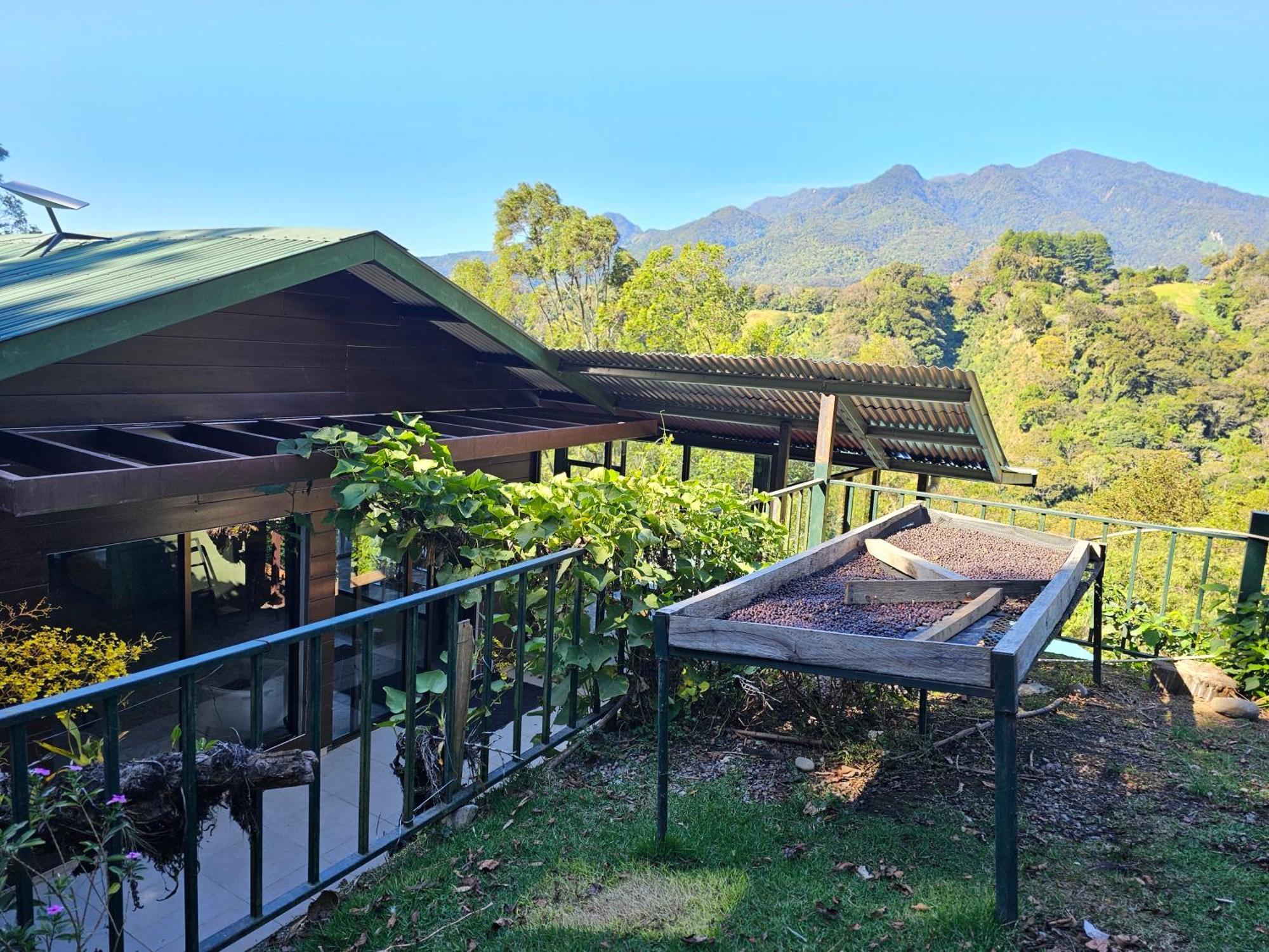 Eco Horqueta Bed and Breakfast Boquete Eksteriør billede