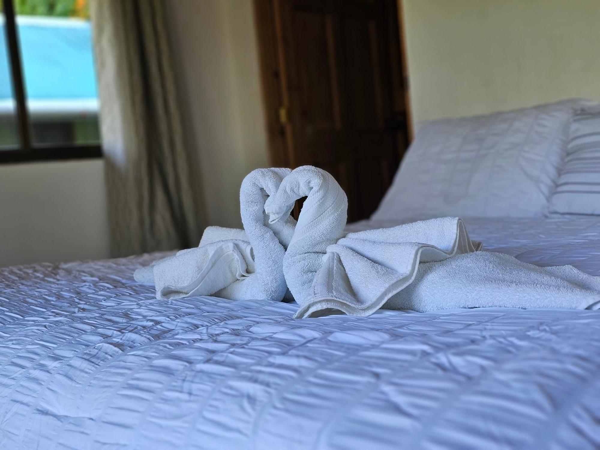 Eco Horqueta Bed and Breakfast Boquete Eksteriør billede