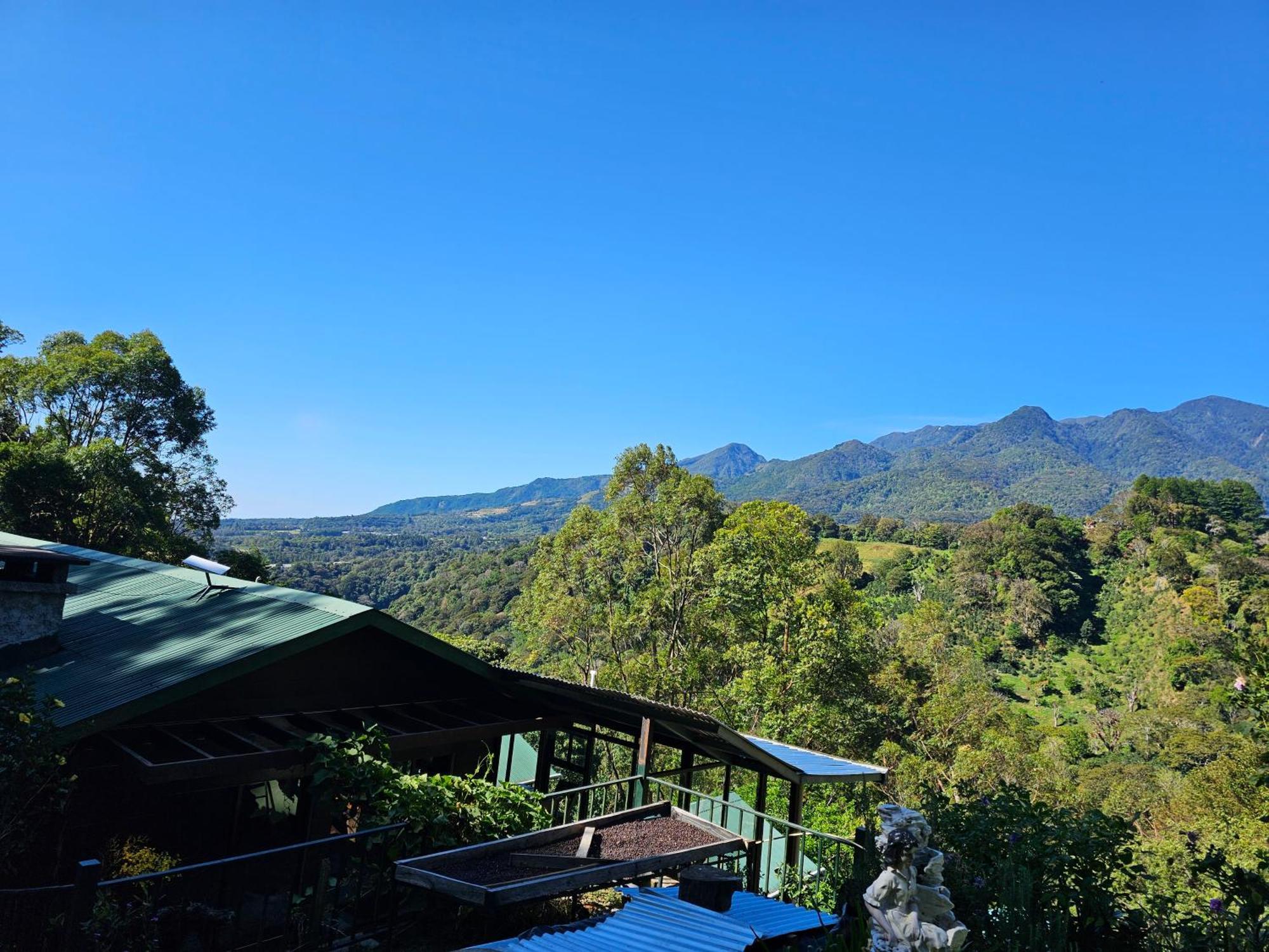 Eco Horqueta Bed and Breakfast Boquete Eksteriør billede